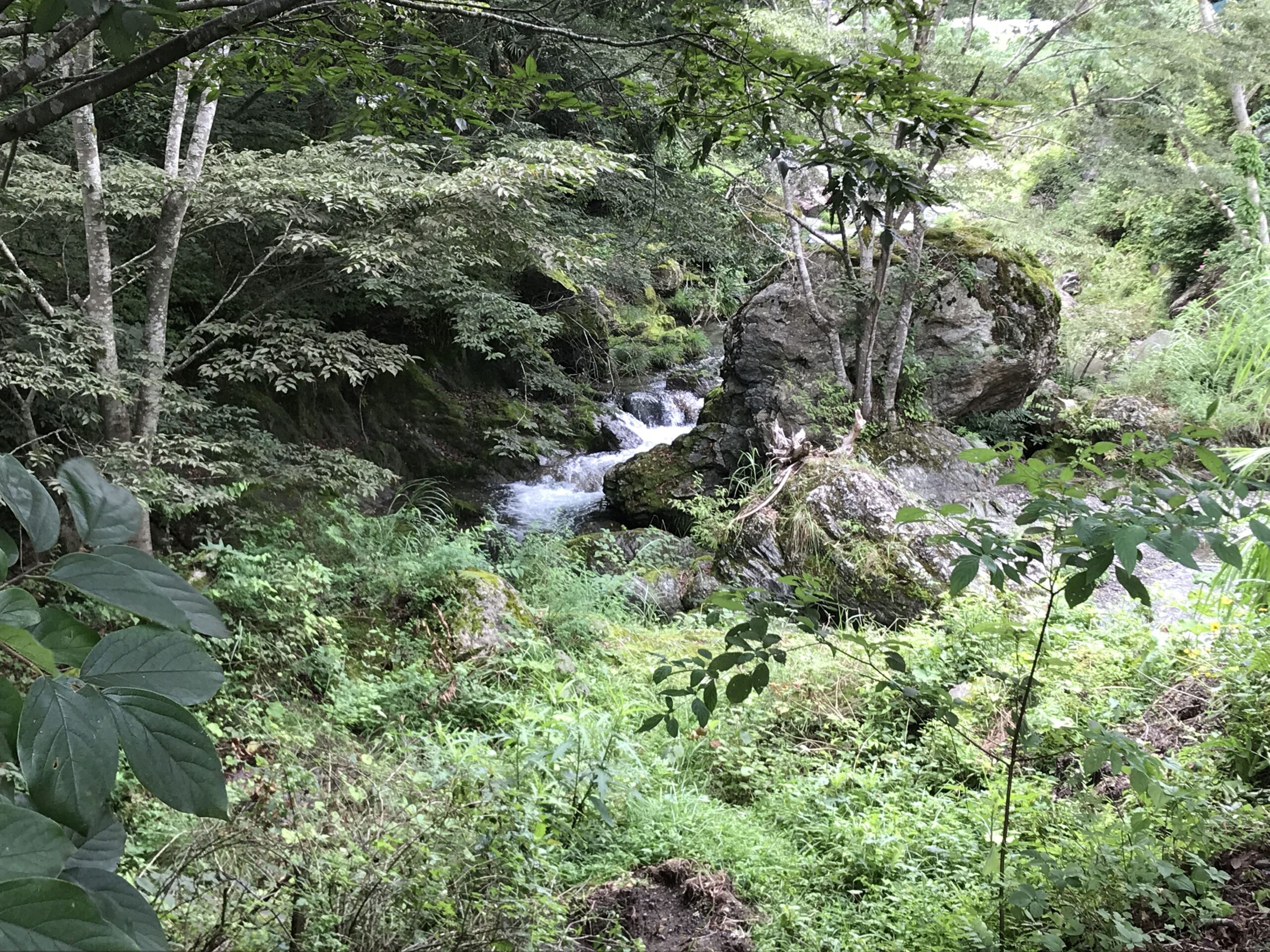 名栗村の清流　入間川ドットコム IRUMAGAWA.COM